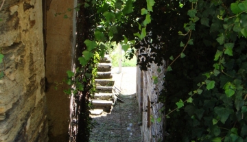 DSC00294.jpg