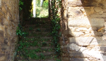 DSC00295.jpg